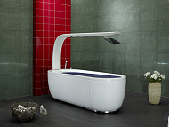 Vichy Prestige